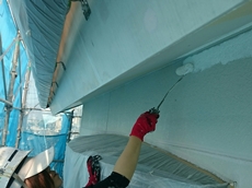 018パターン付け1524544973780 (7).jpg