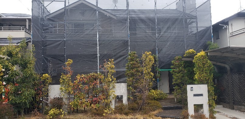 nara_msama1218003 (2).jpg