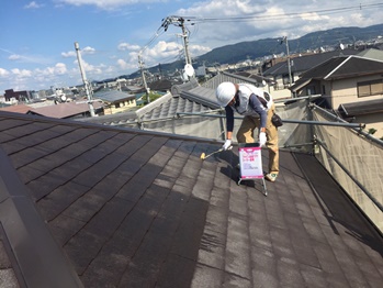 シーラ211011ｙｎ (1).jpeg