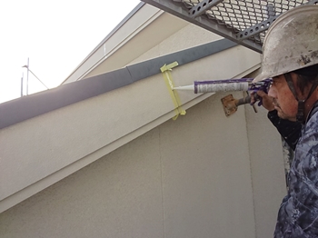 シール328 (13).jpeg