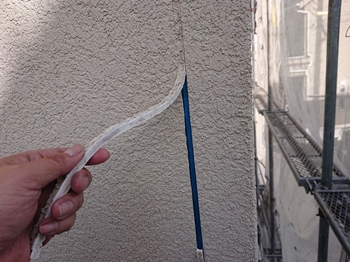 シール328 (16).jpeg