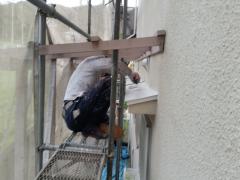 変換 ～ ０１０20170412_090319.jpg