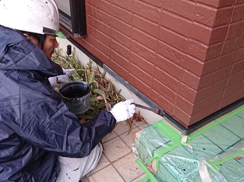 水切り　フッ素塗布　N (3).jpeg