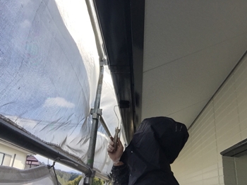 雨樋　フッ素2回目　M (1).jpeg