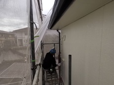 009ハイブリッド一回目 (1).jpg