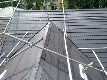 035完DSC_0035 (2).jpg