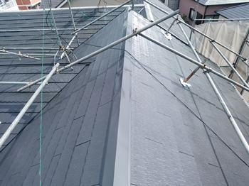 036完成DSC_0035 (9).jpg