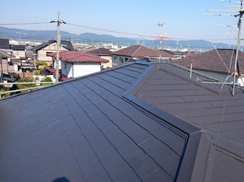 038完成1497568153659 (2).jpg