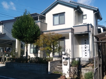 043完成IMG_20171213_112929 (6).jpg