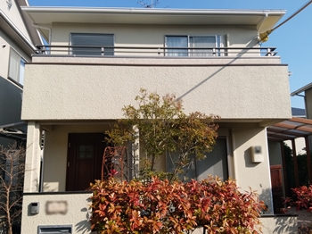 044完成DSC_0316 (5).jpg