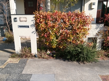 045完成DSC_0316 (4).jpg