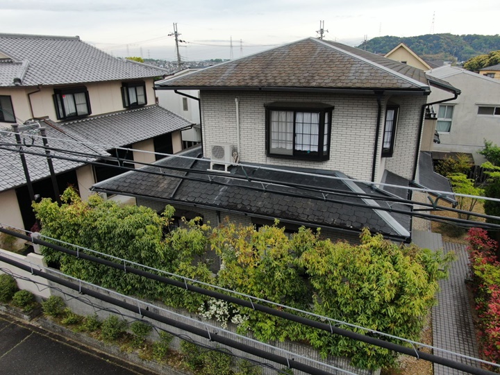 sekoumae_20230425_20230425_115 (29).jpeg